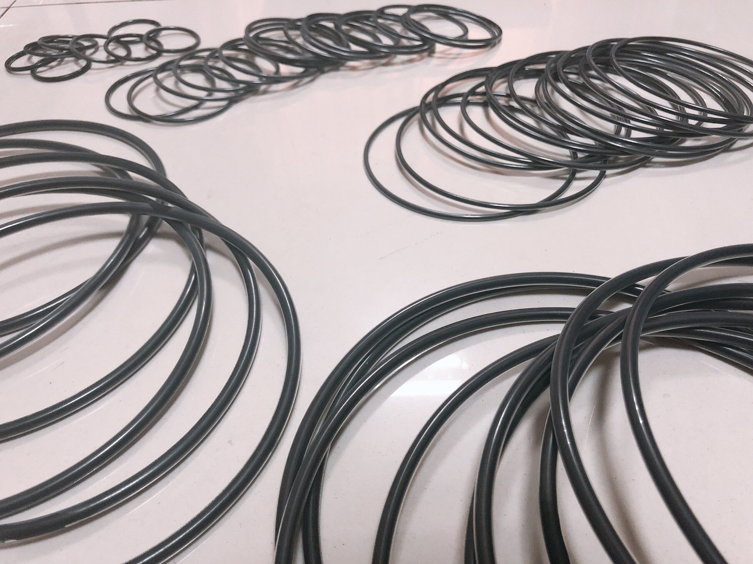 腾龙密封Viton +PTFE O型圈1000个出运信息