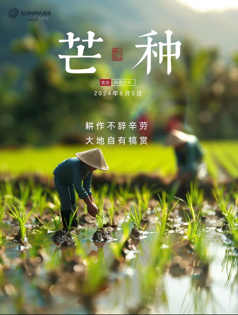 芒种,是丰收的开始,也是希望的种子